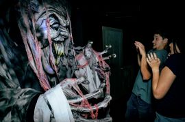 Picture of Scream Experiment