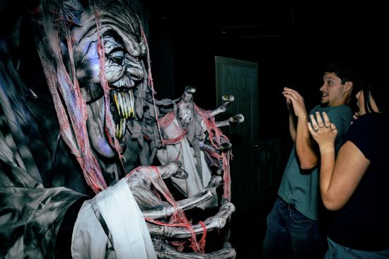 Picture of Scream Experiment