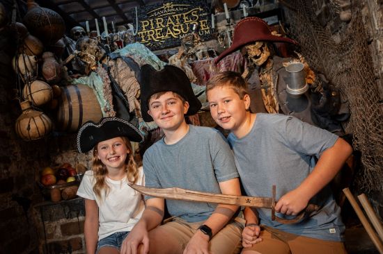 Picture of Savannah Pirates and Treasure Museum