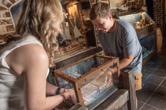 Picture of Savannah Pirates and Treasure Museum